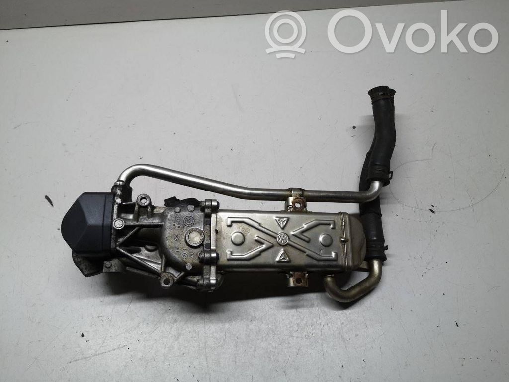 Skoda Fabia Mk2 (5J) Zawór EGR 