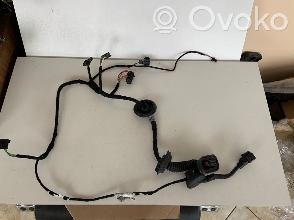 Audi Q7 4L Cableado de puerta delantera 