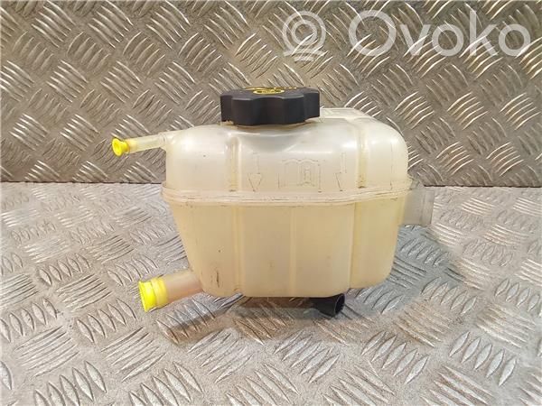 Opel Insignia A Vaso di espansione carburante