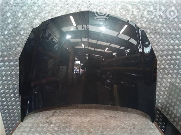 Opel Insignia A Vano motore/cofano 