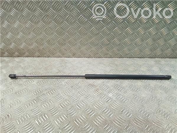 Opel Insignia A Ammortizzatore portellone anteriore/cofano 