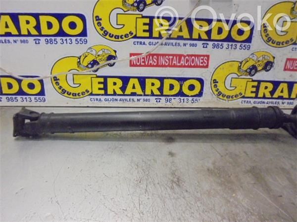 Eje de transmisión trasero
