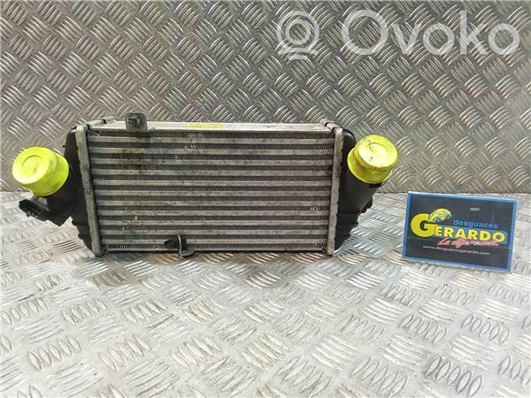 Radiador intercooler   282702A770