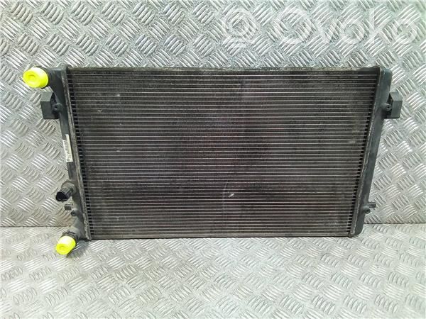 Seat Leon (1M) Radiator ulei motor