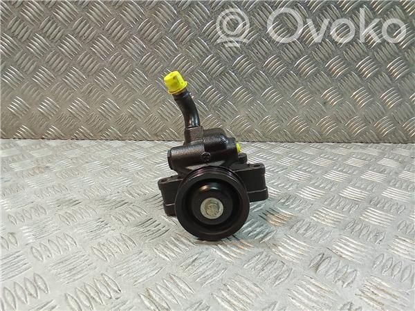 Ford Fiesta Power steering pump 
