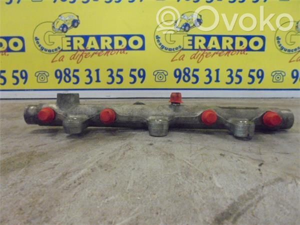 Rampa inyectora   445214019