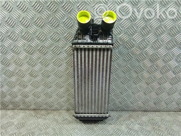 Interkūlerio radiatorius   9803900780,CV448003