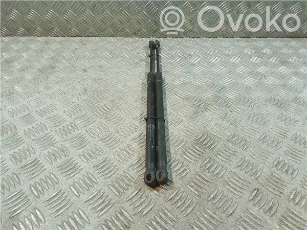 Amortiguador del maletero/compartimento de carga   D65163620A,D65162620A