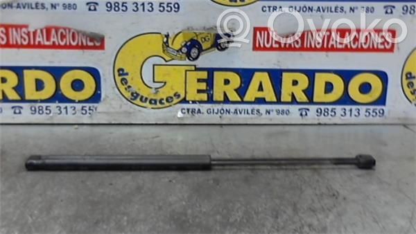 Amortiguador del maletero/compartimento de carga