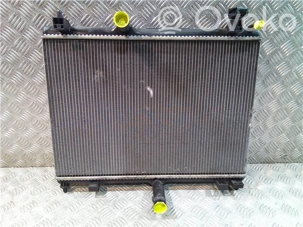 Citroen C5 Radiator ulei motor 