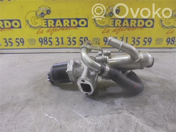 Válvula EGR   55219499