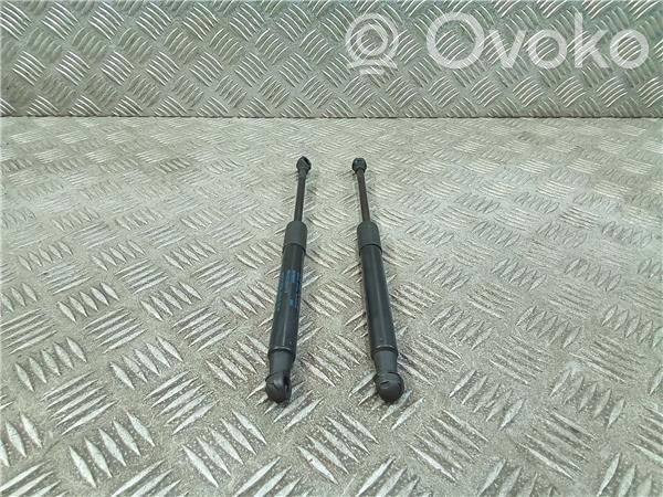 Audi Q5 SQ5 8R Ammortizzatore portellone anteriore/cofano