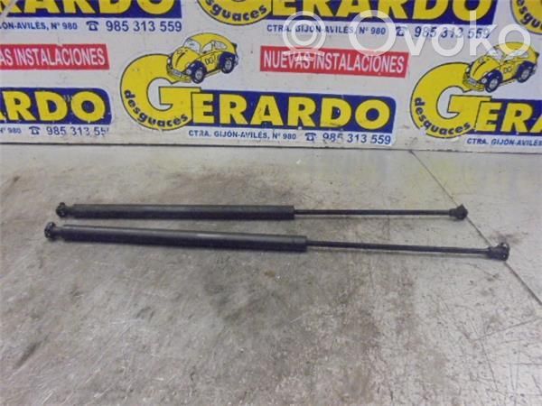 Tailgate/trunk/boot lid buffer