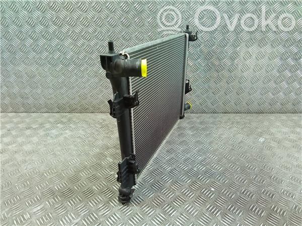 KIA Rio Radiatore dell’olio del motore