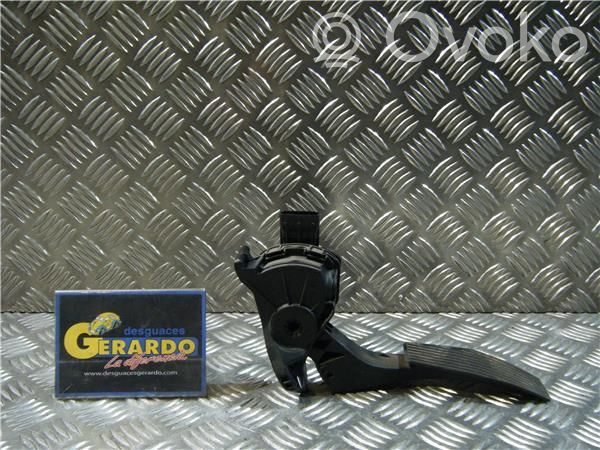 Gaspedal   13252702,6PV00976507