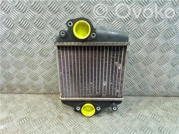 Interkūlerio radiatorius   R2AX13565