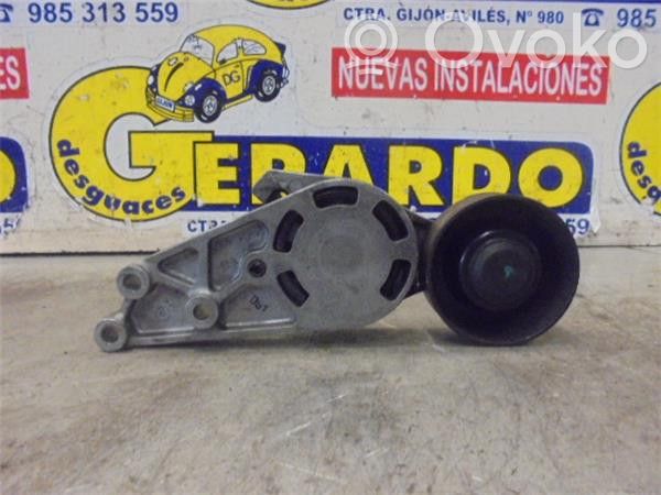 Audi A4 S4 B6 8E 8H Tensor de la correa del alternador