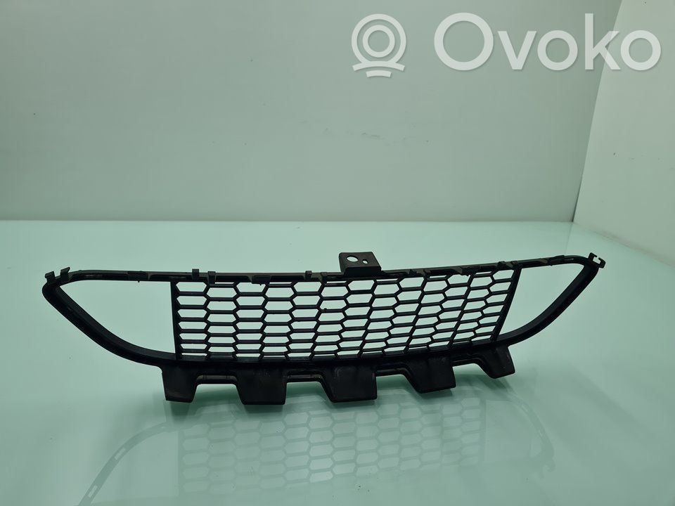 Kühlergrill   51118054132