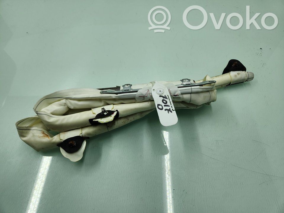 Front door airbag   7221046