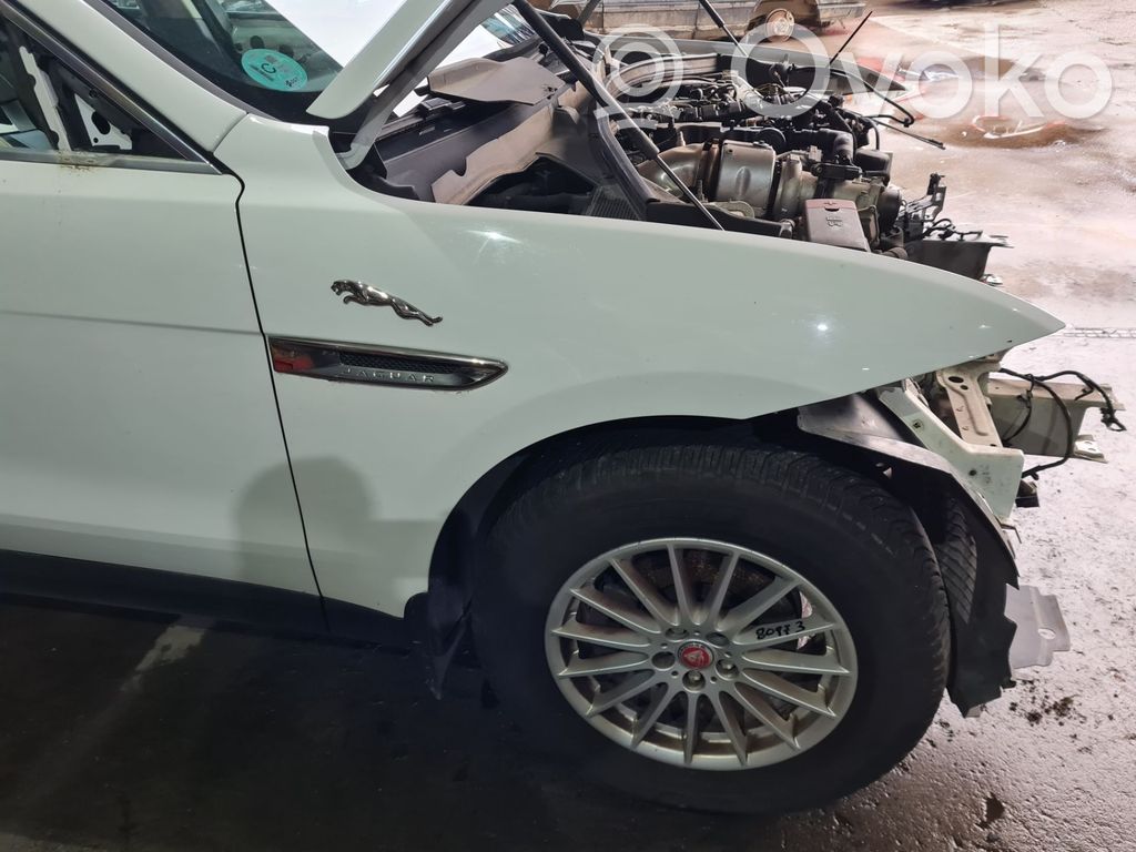 Jaguar F-Pace Guardabarro 