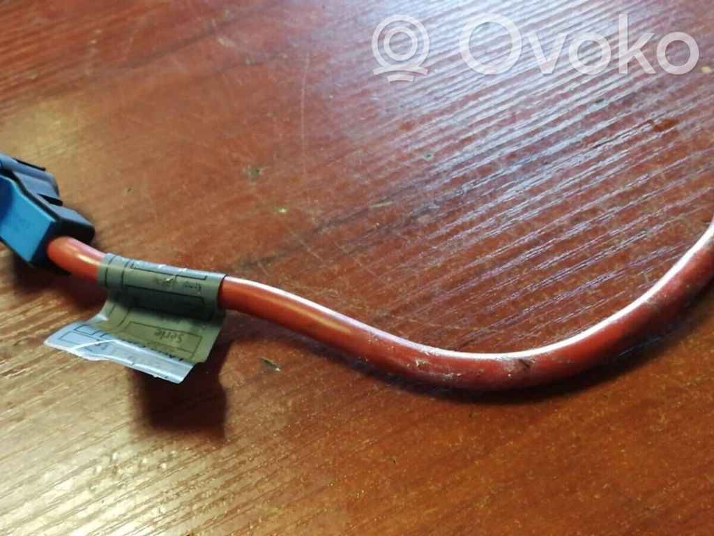 BMW 7 E65 E66 Pliusinis laidas (akumuliatoriaus) 