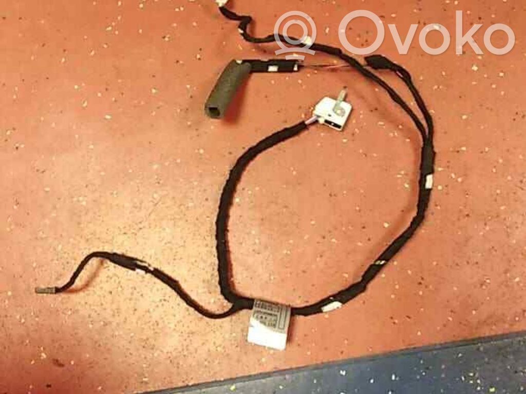 BMW 7 E65 E66 Cableado de puerta delantera 