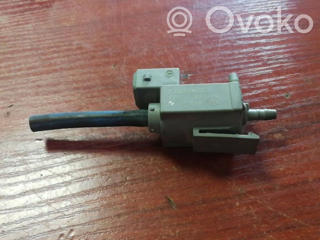 Vacuum valve   7516376