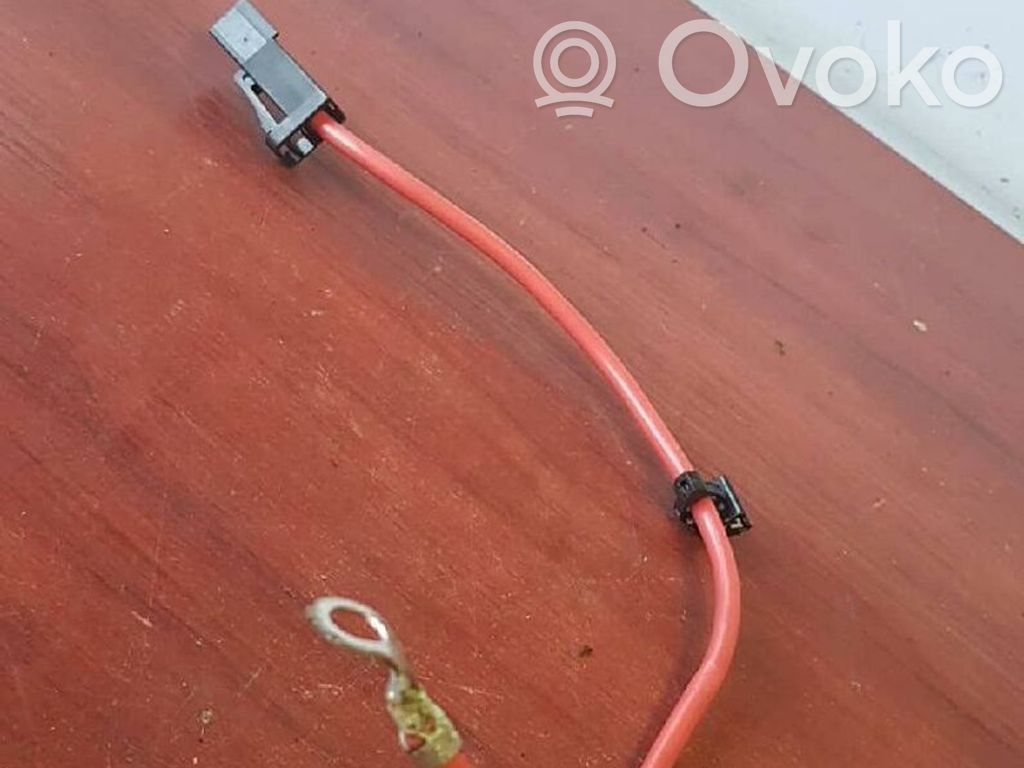 Positive cable (battery)   6929716