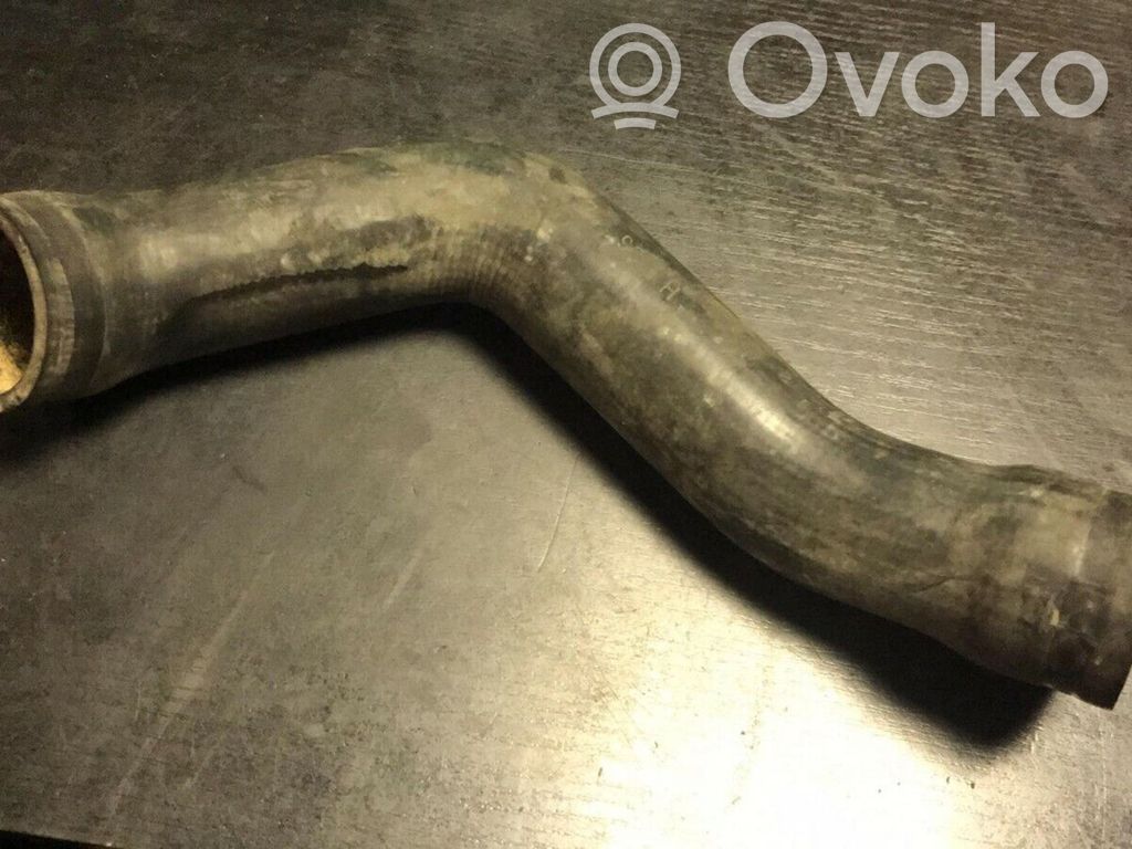 Engine coolant pipe/hose   1287182