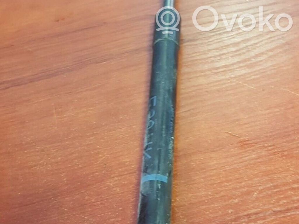 BMW 5 E39 Tailgate/trunk strut/damper 