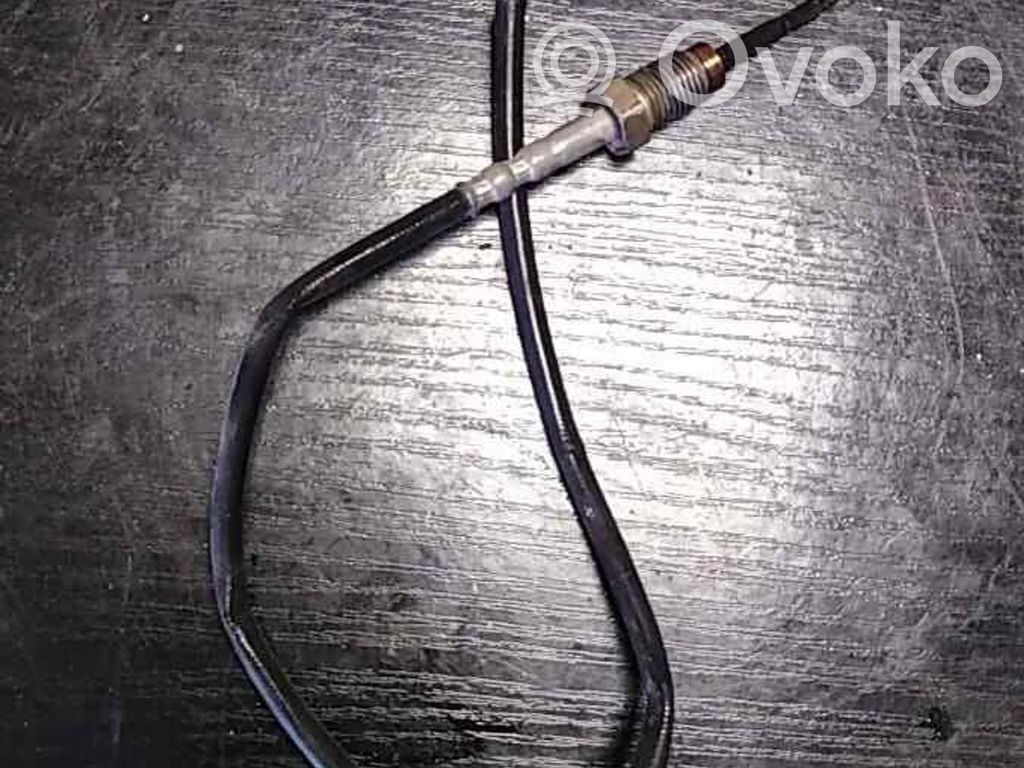 Abgastemperatursensor   7806254