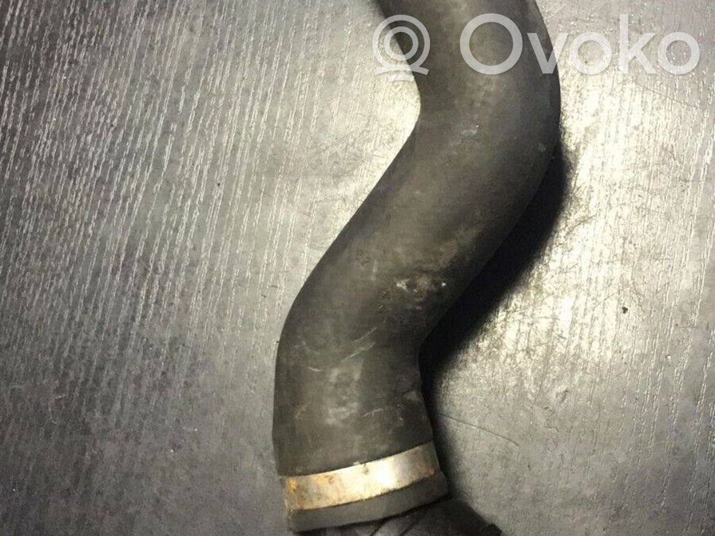 Engine coolant pipe/hose   7526391