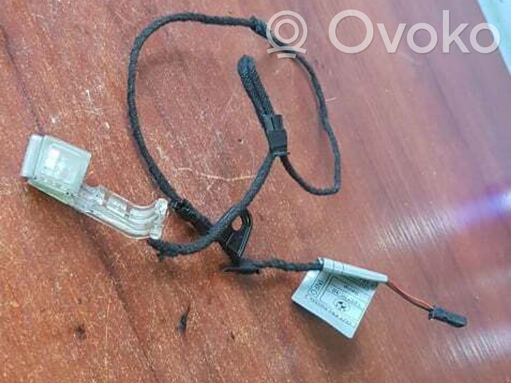 BMW 1 E82 E88 Front door handle light (exterior) 