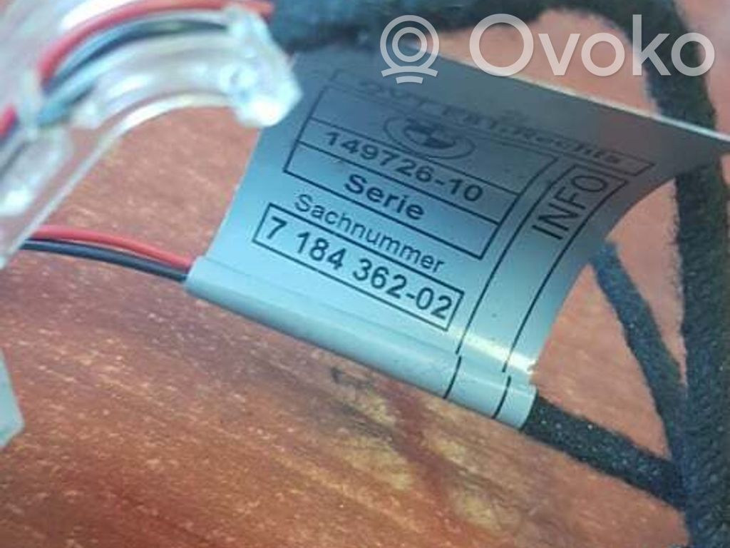 BMW 1 E82 E88 Front door handle light (exterior) 