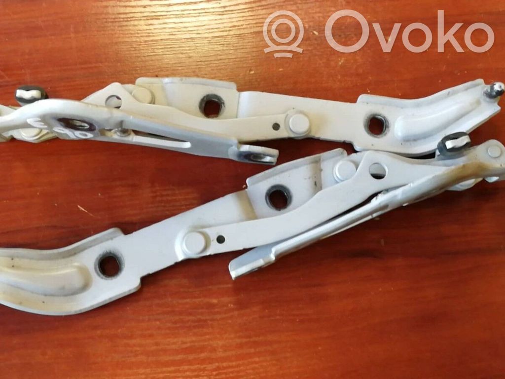 Tailgate/trunk/boot hinge   7060627