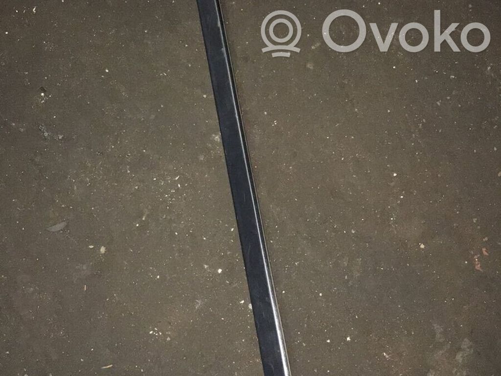 BMW 5 E39 Front door trim (molding) 