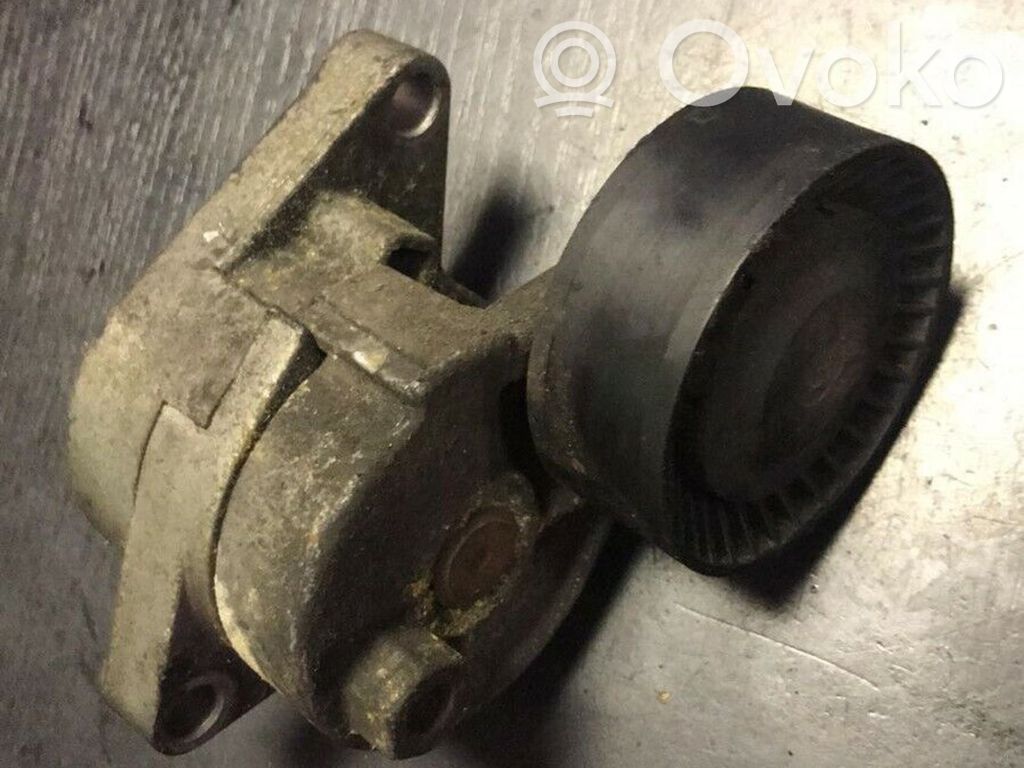 BMW 3 E46 Generator/alternator belt tensioner 