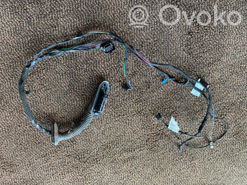Cableado de puerta trasera   6938217