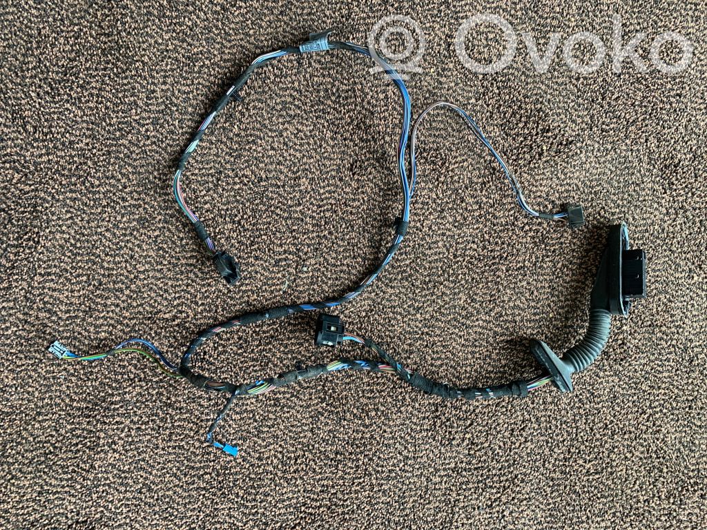 BMW 1 E81 E87 Cableado de puerta delantera 