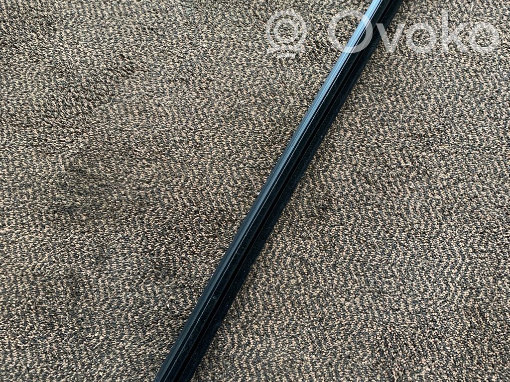 BMW 5 F10 F11 Uszczelka szyby drzwi przednich 