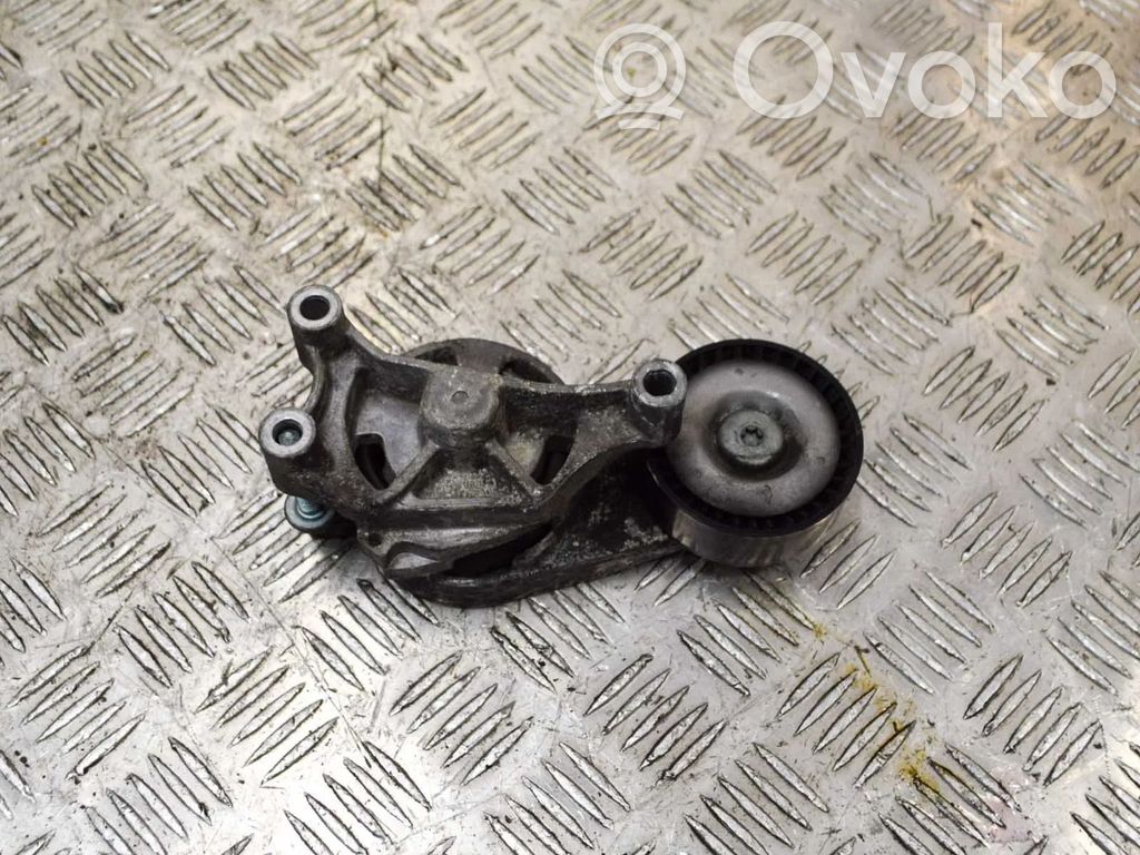 Audi A3 S3 8P Tensor de correa del alternador 
