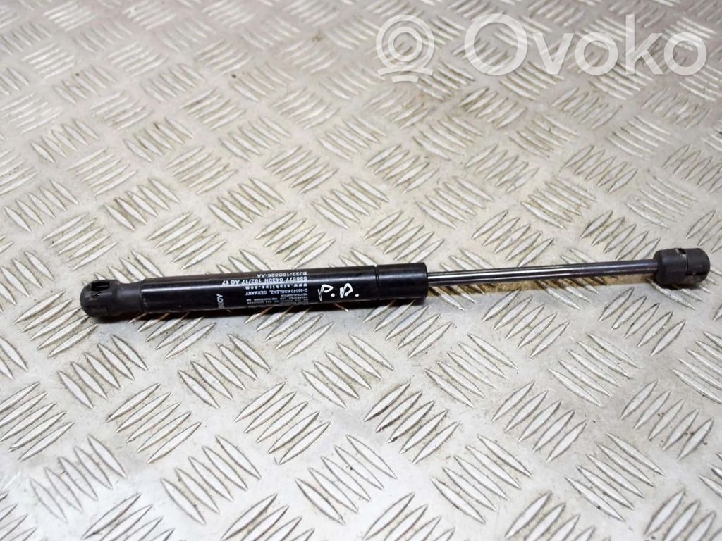 Land Rover Range Rover Evoque L538 Amortizor capotă motor 