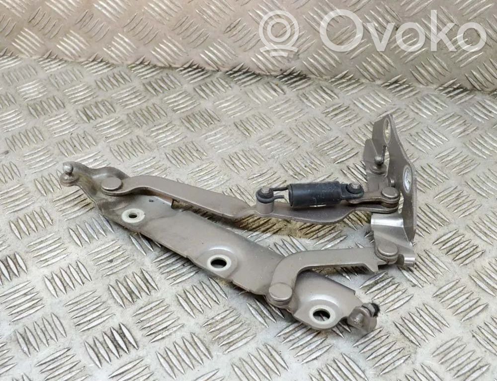 Jaguar XF X250 Cerniera portellone posteriore/bagagliaio