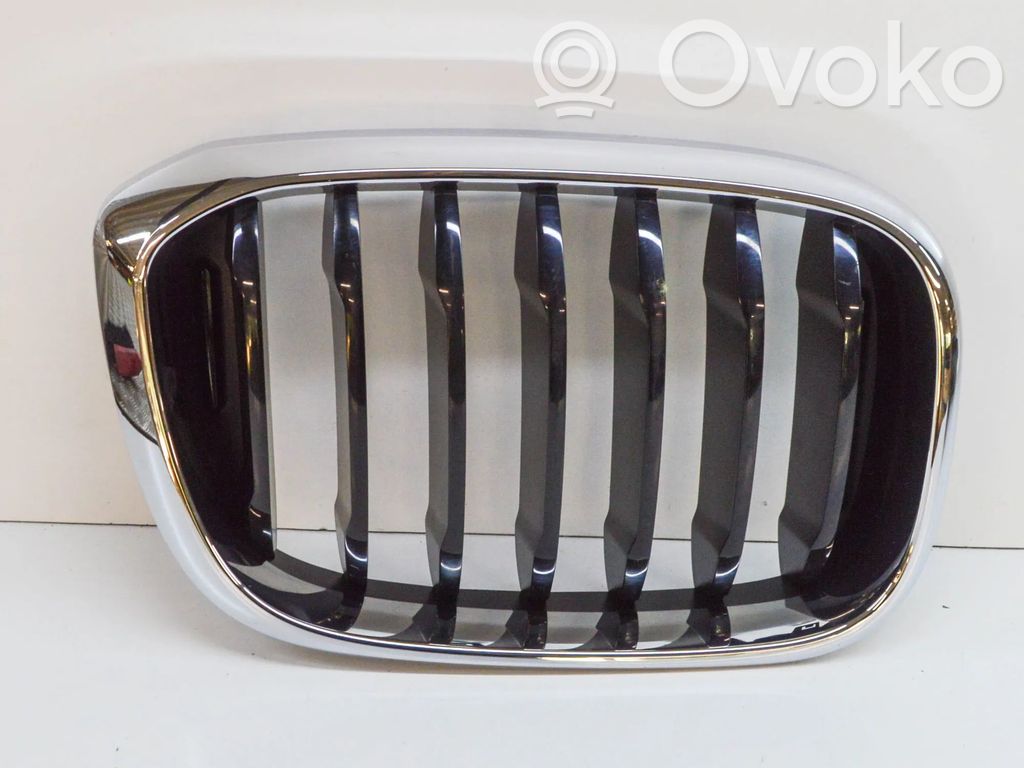 BMW X3 G01 Front grill 
