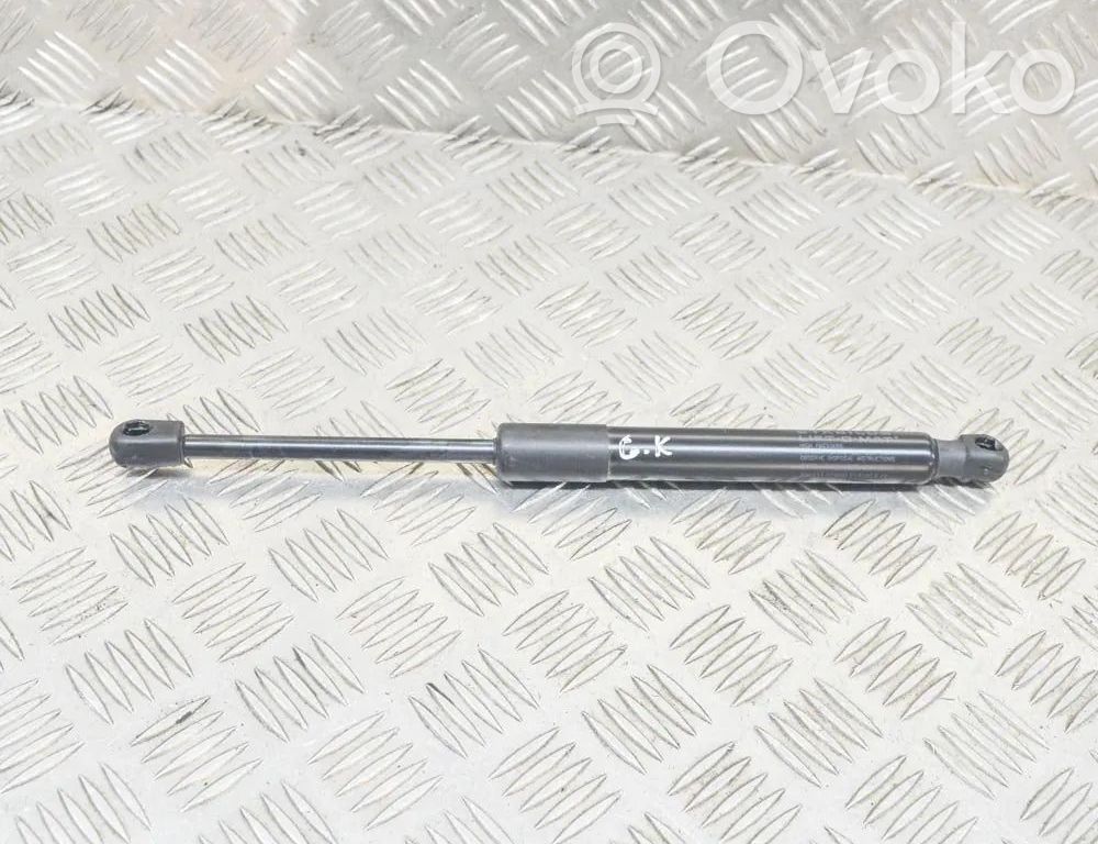 Tesla Model 3 Tailgate/trunk strut/damper 