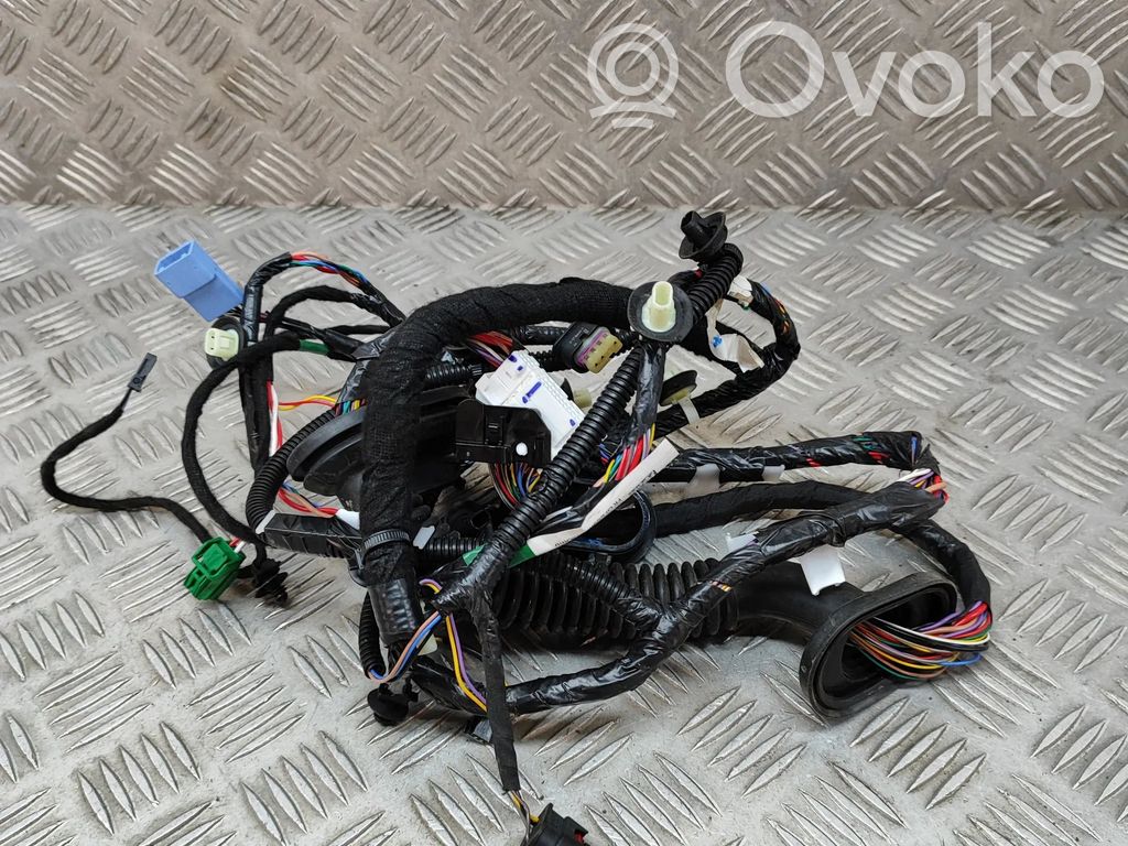 Cableado de puerta delantera   306795702C