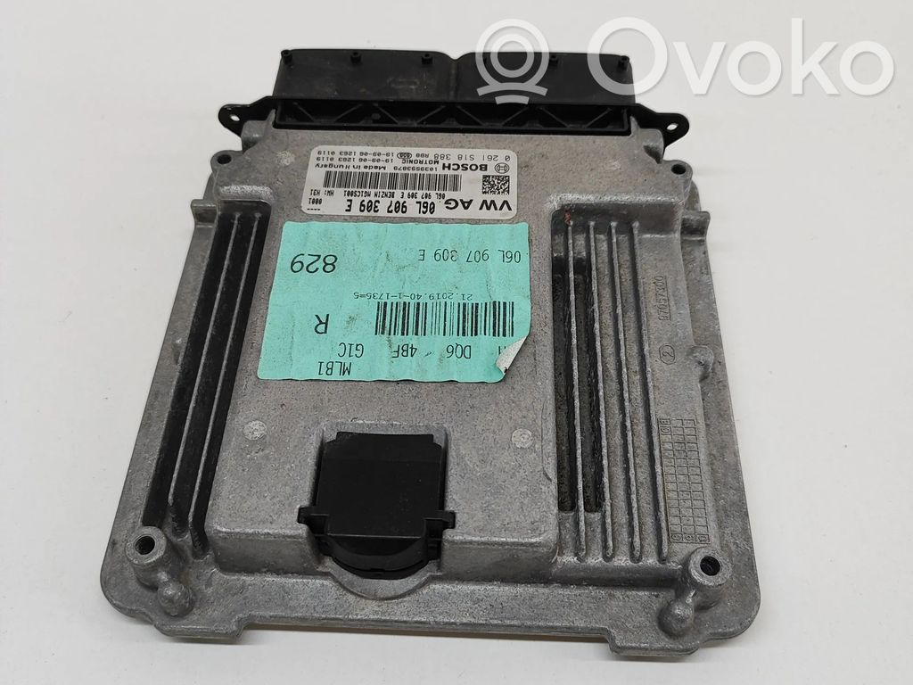 Engine control unit/module   0261S18388,06L907309E