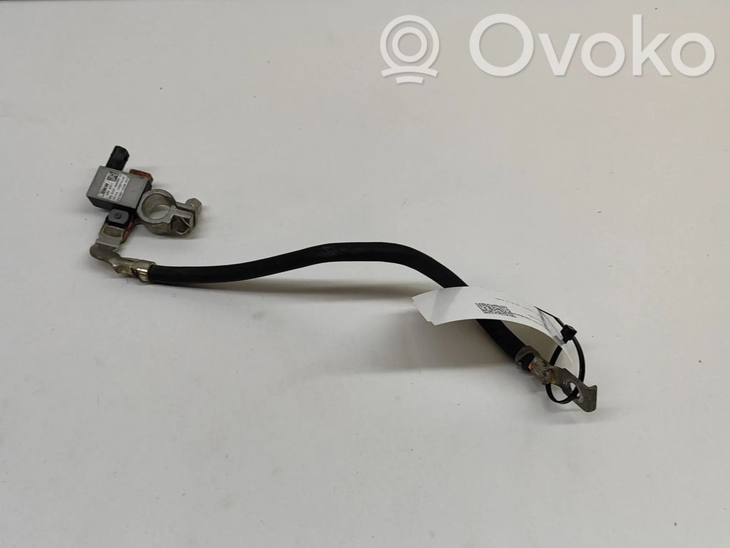 BMW X5 F15 Cavo negativo messa a terra (batteria) 