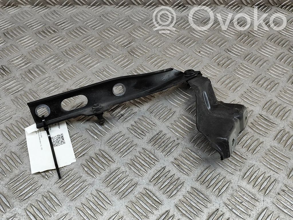 Audi Q5 SQ5 8R Cerniere del vano motore/cofano