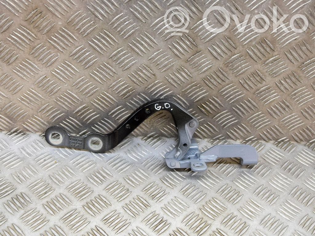 BMW X3 G01 Tailgate/trunk/boot hinge 